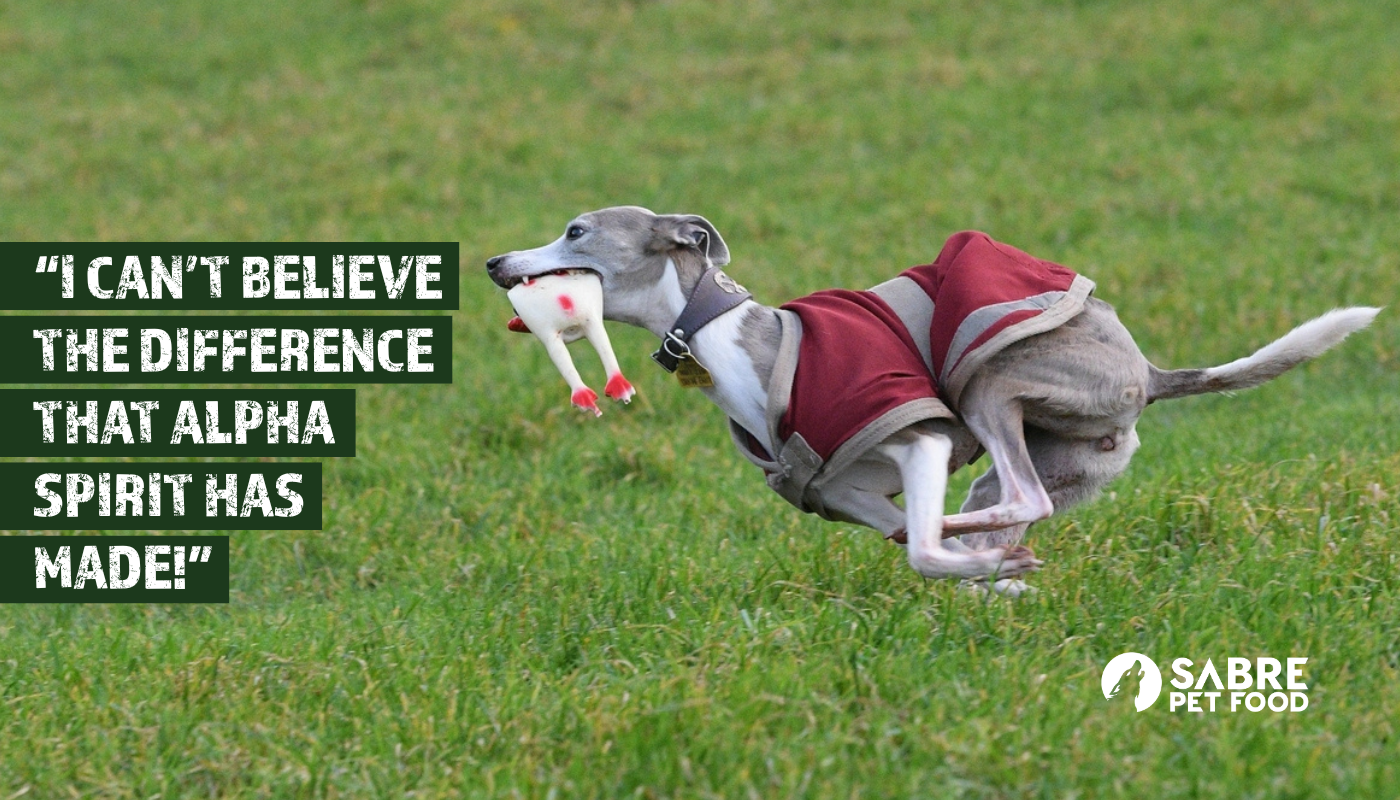 I can’t believe the difference that Alpha Spirit has made!