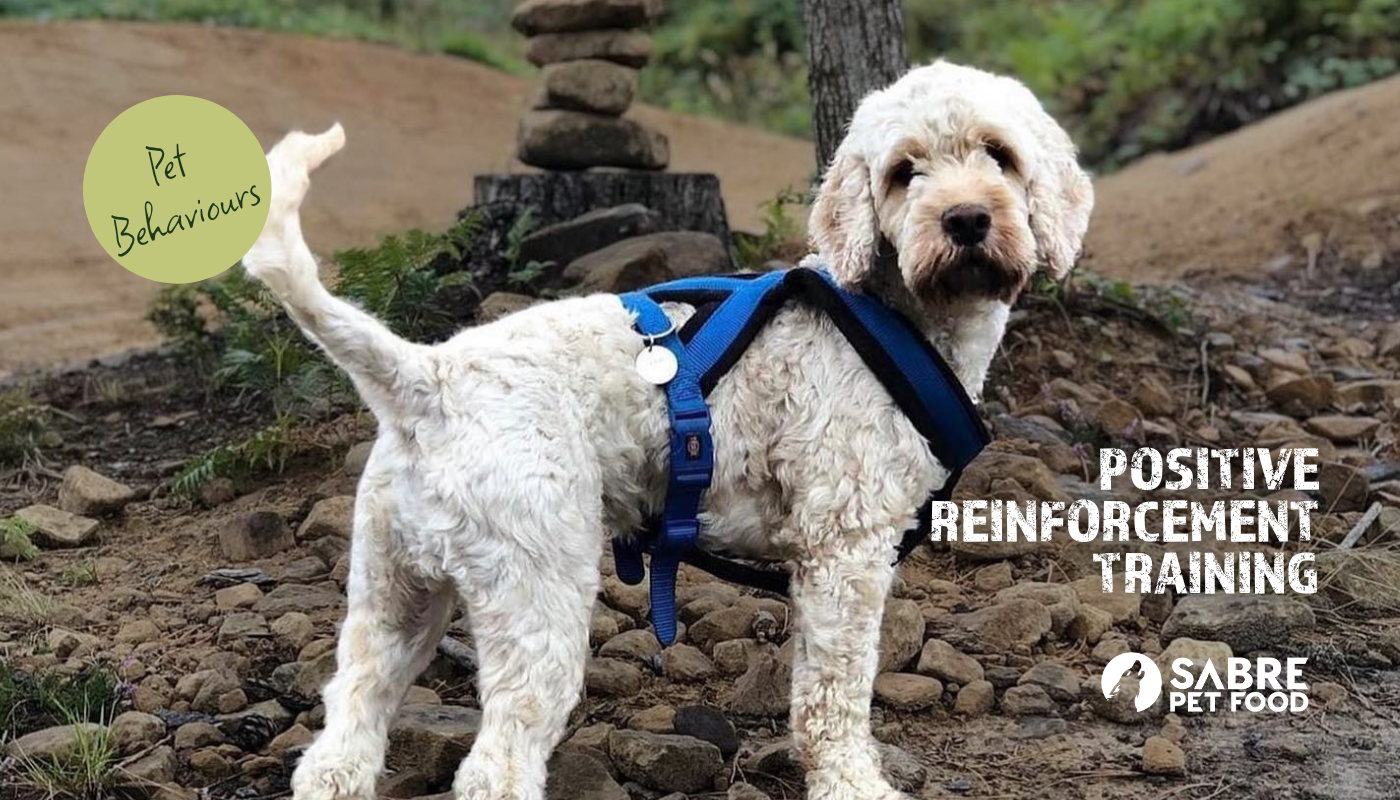 Positive Reinforcement Training