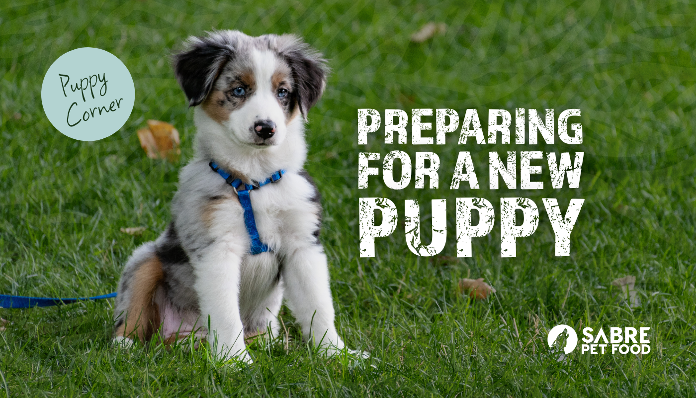 Preparing for a New Puppy