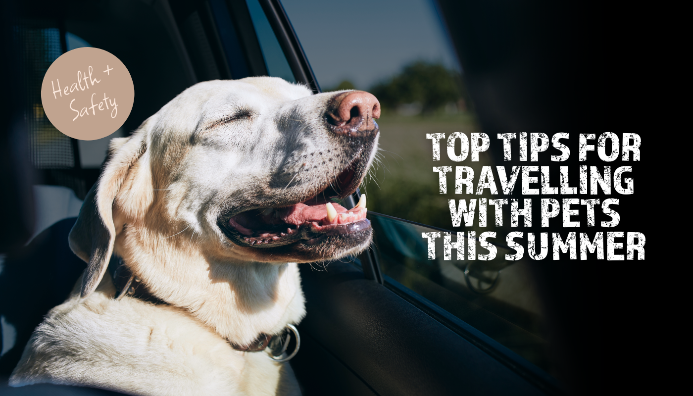 Top Tips for Travelling with Pets this Summer
