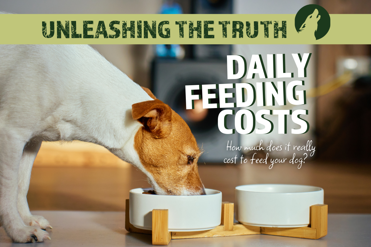 Daily Feeding Costs: What does it really cost to feed your dog each day?
