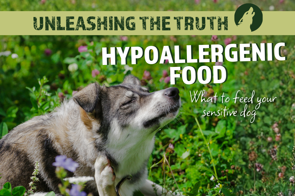 Hypoallergenic Diets: What to feed your sensitive dog