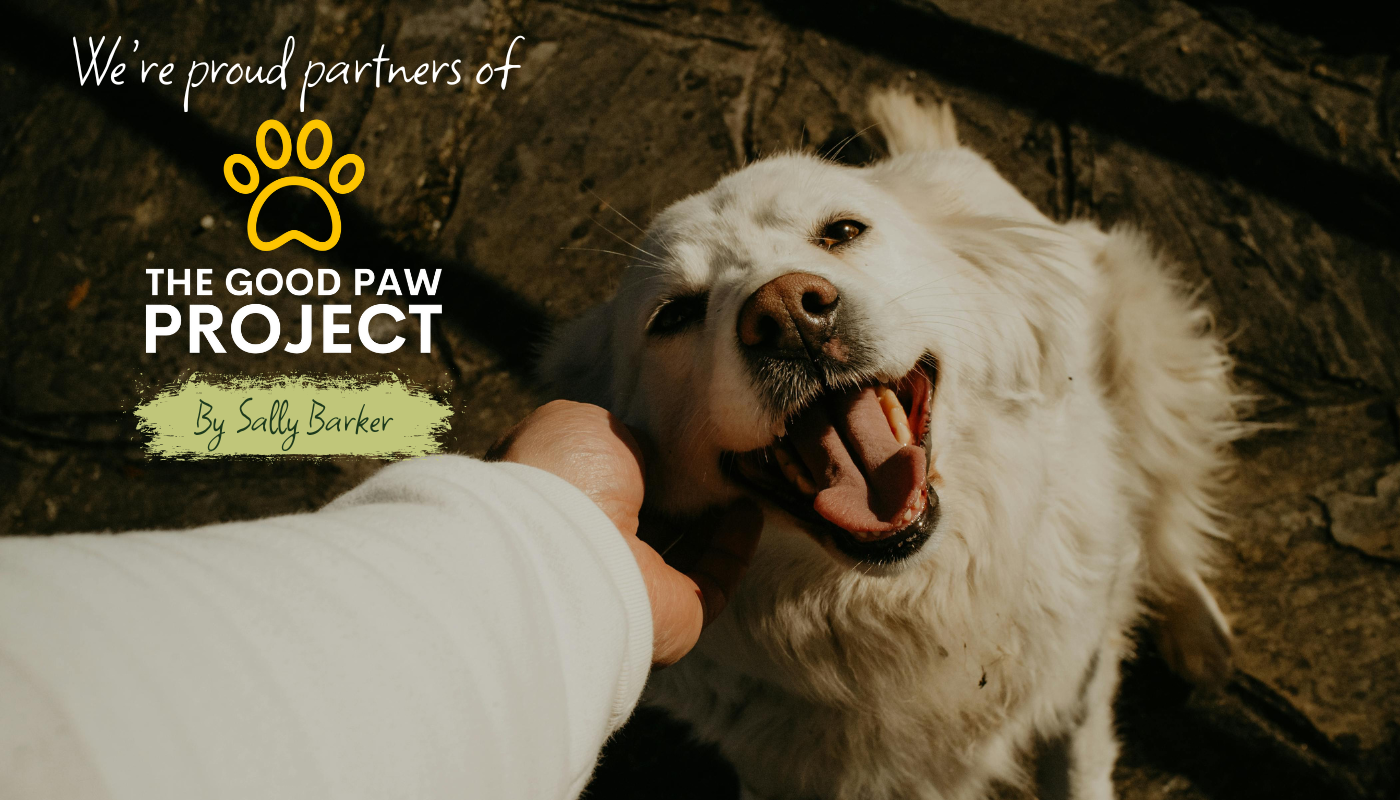 The Good Paw Project x Sabre Pet Food: A New Partnership Supporting Dogs & Their Humans