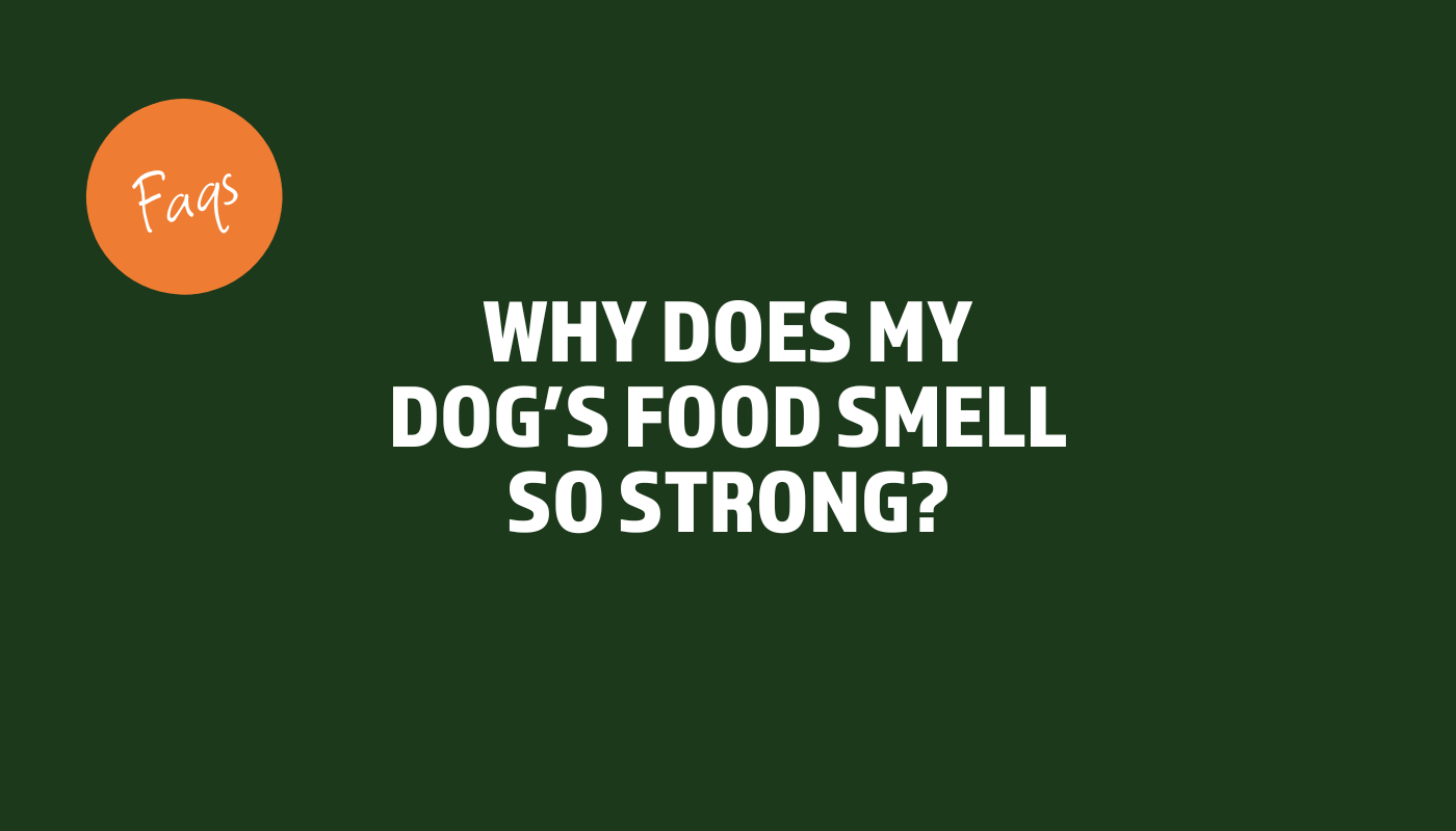 Why does my dog's food smell so strong?