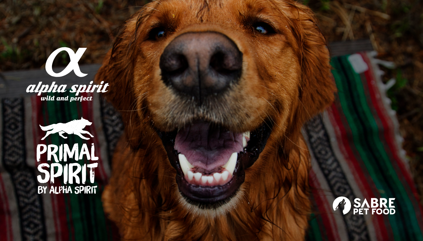 What Do Our Customers Think of Alpha Spirit?