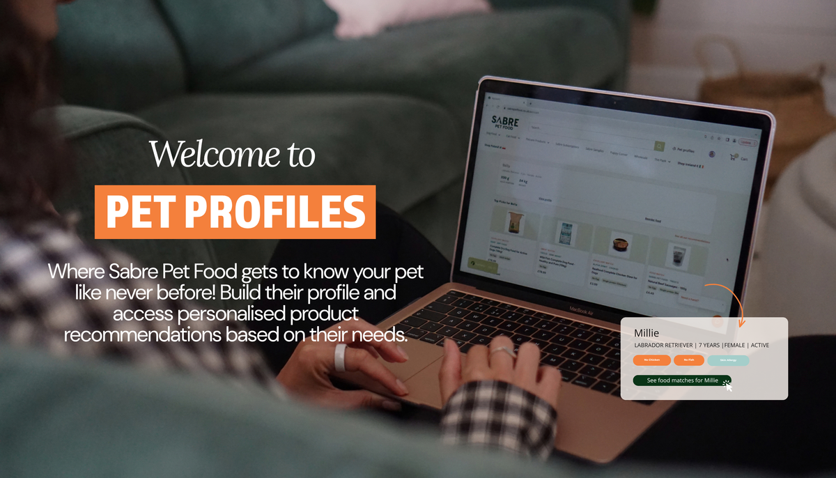 Introducing Pet Profiles: A Smarter, More Personal Way to Shop for Your Pet