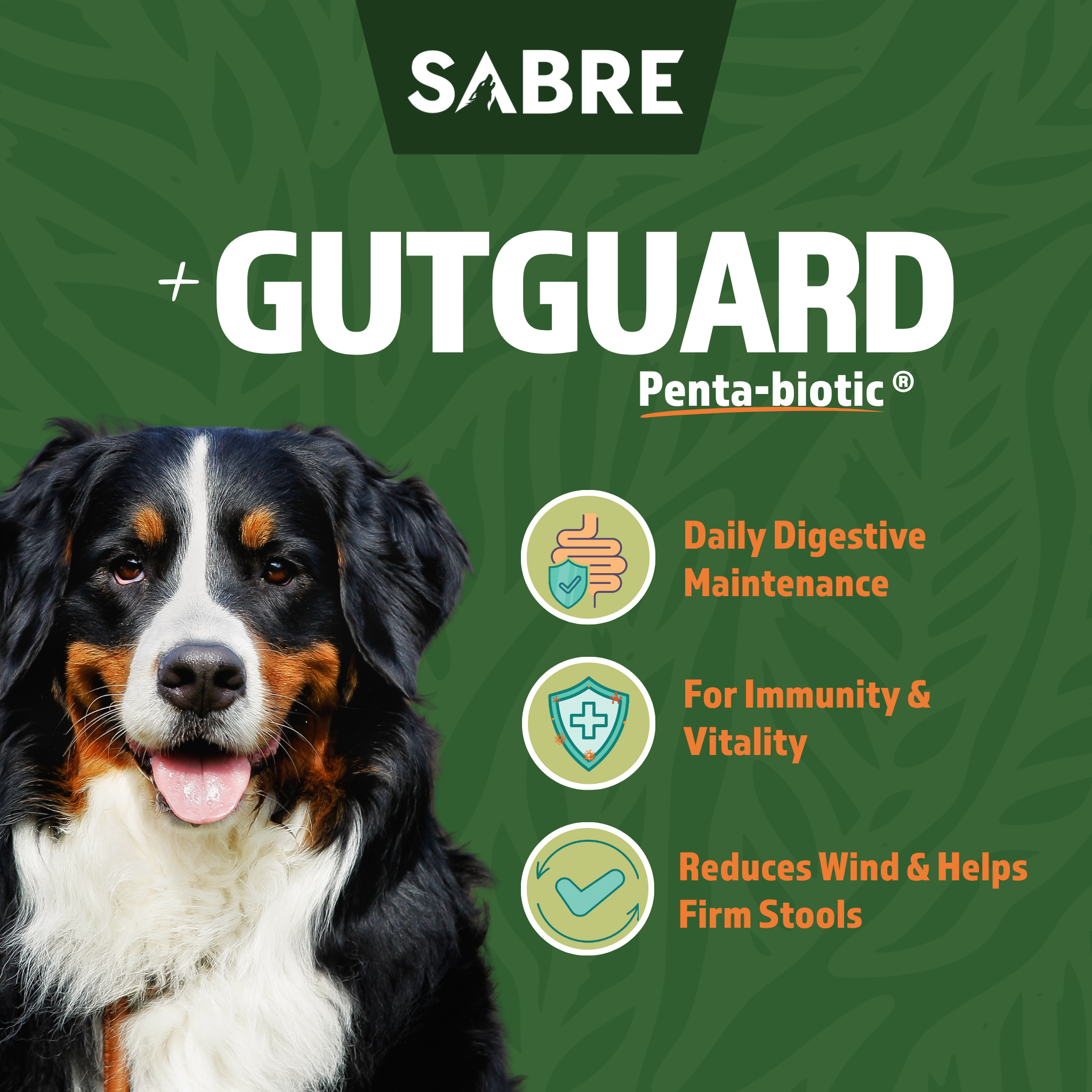 GutGuard Penta-biotic® Digestive Supplement for Dogs – 150g