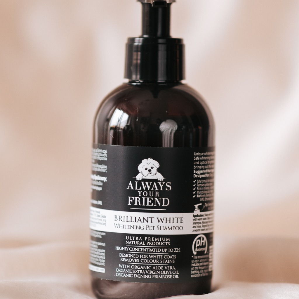 Brilliant White Shampoo – Organic Shampoo (250ml)