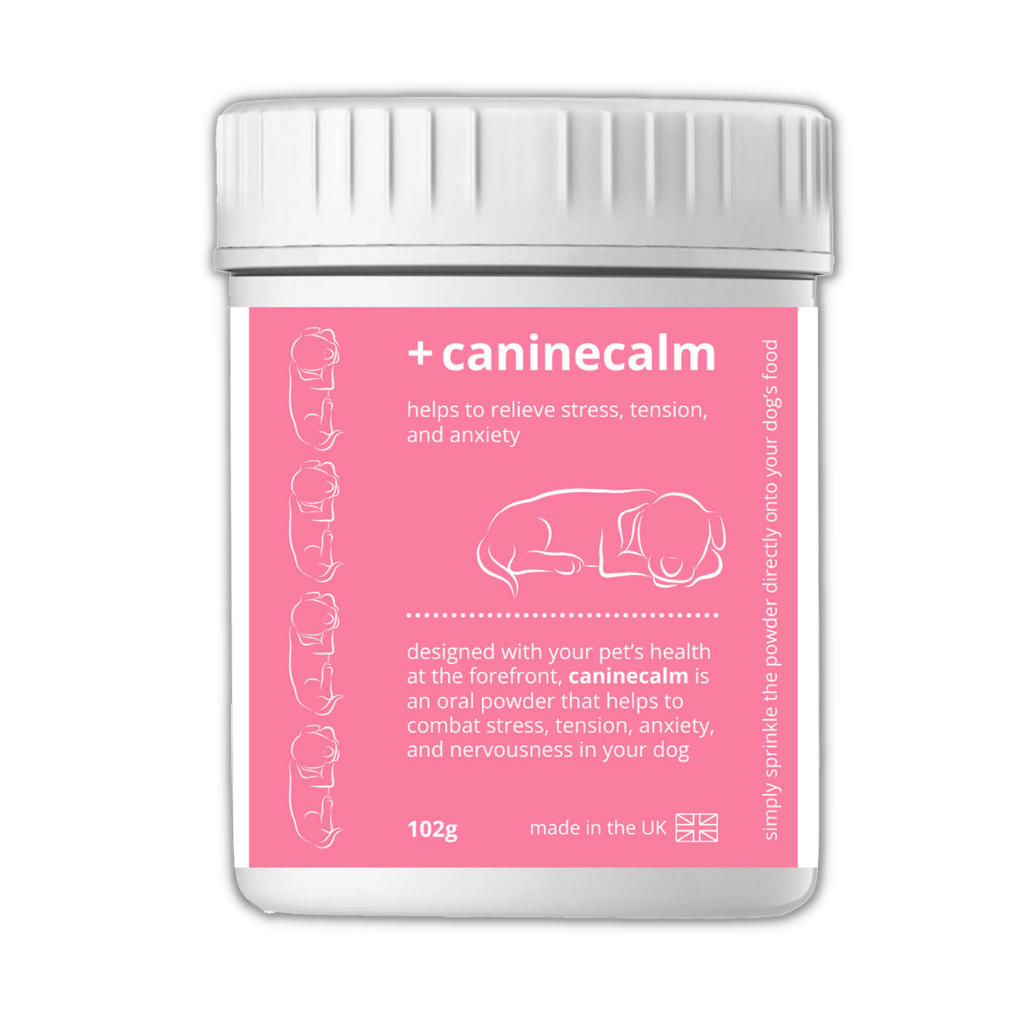 Calming powder for sales dogs