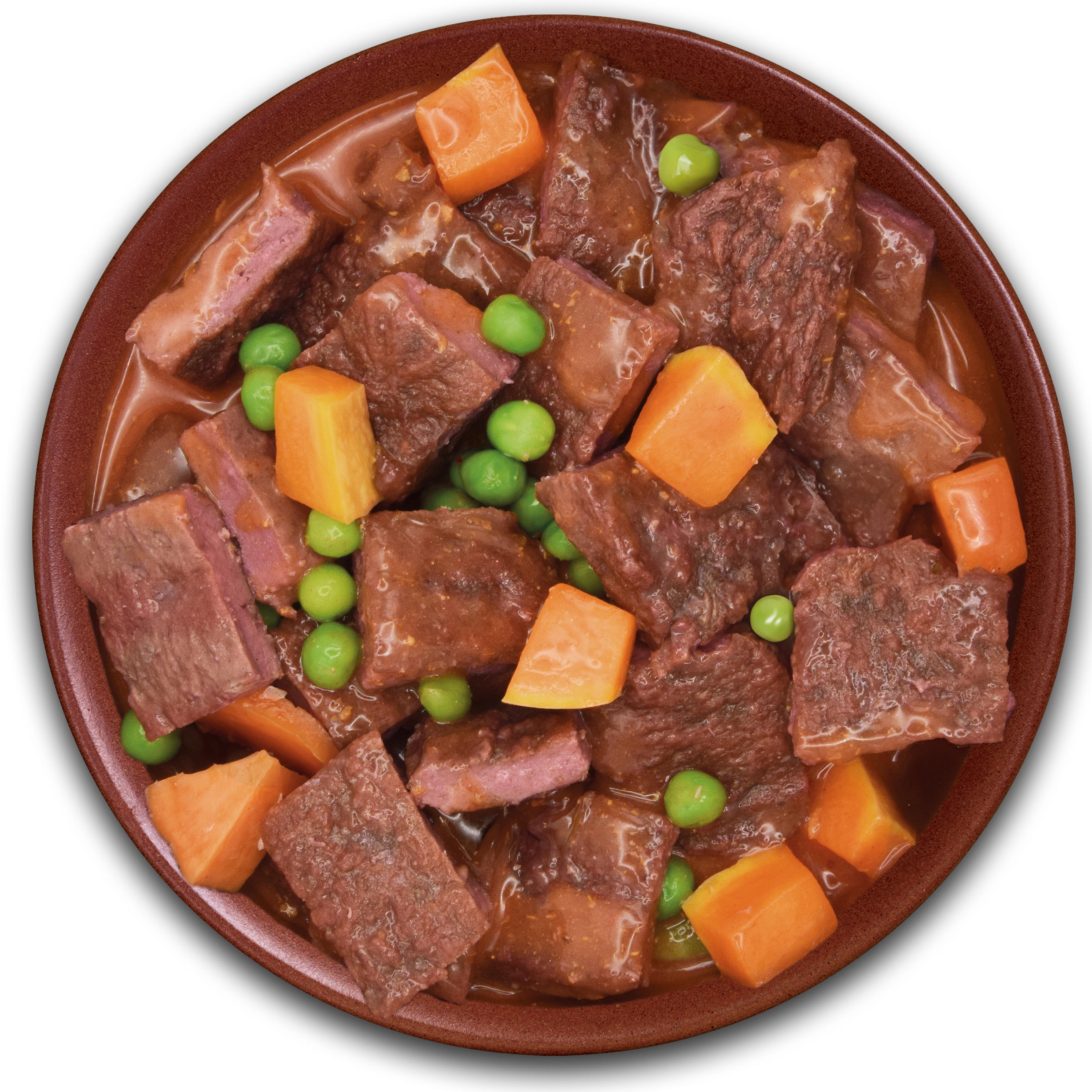 Free Realfood Complete Roast Beef Stew for Dogs - 280g