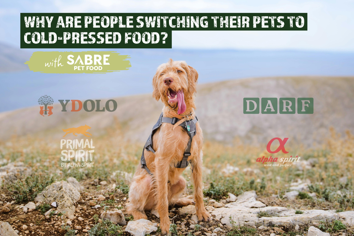 Why People are Switching Their Pets to Cold-Pressed From Regular Extruded Kibble