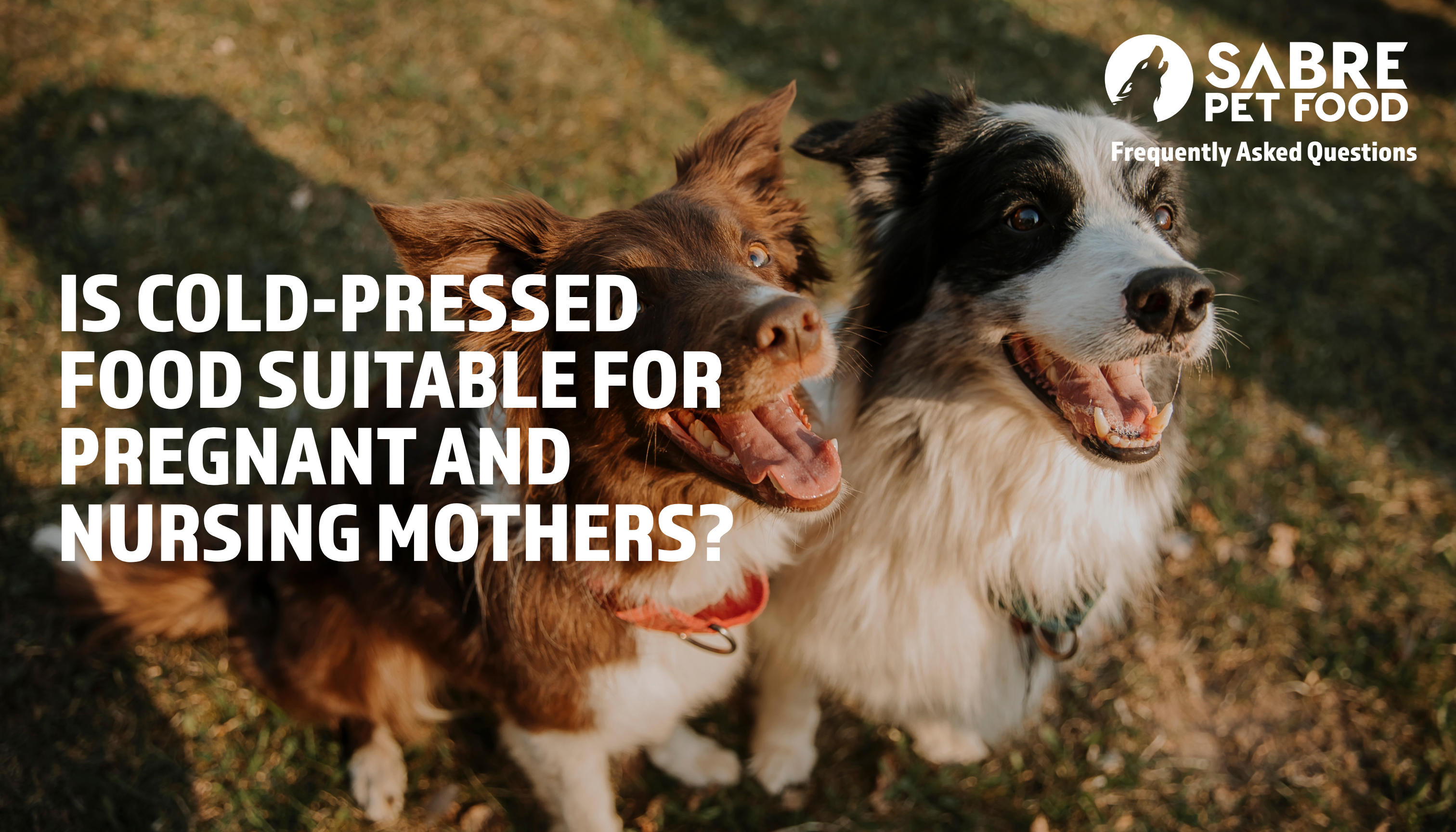 Is cold-pressed dog food suitable for pregnant and nursing mothers, as well as weaning puppies?