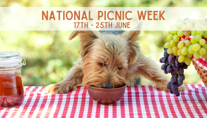 National Picnic Week 17th – 25th June