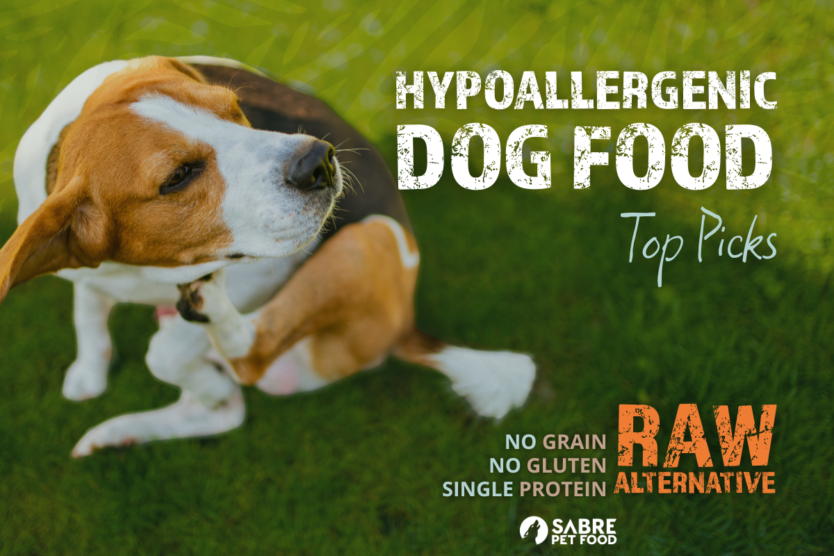 Finding The Right Hypoallergenic Food for Your Dog