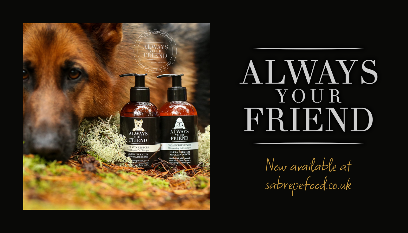 Introducing Always Your Friend