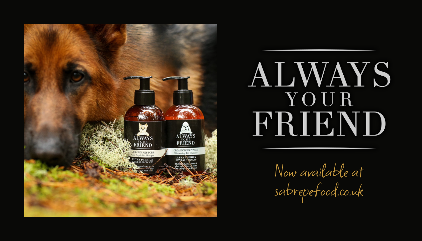 Introducing Always Your Friend