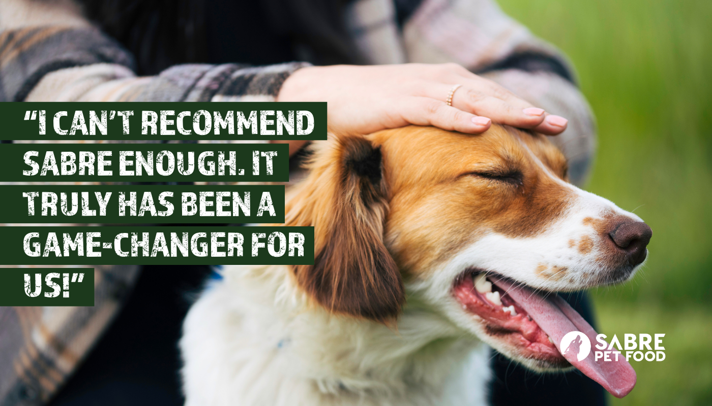 I can’t recommend Sabre enough. It truly has been a game-changer for us!