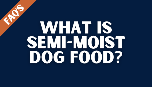 What is Semi-Moist Dog Food?