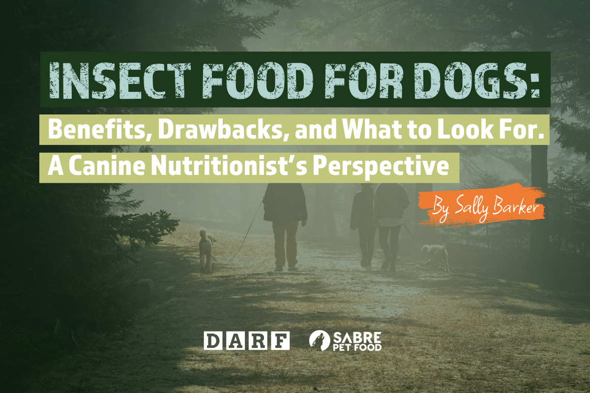 Insect Food for Dogs: Benefits, Drawbacks, and What to Look For. A Canine Nutritionist’s Perspective