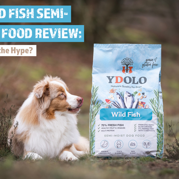 YDOLO Wild Fish Semi-Moist Dog Food Review: Is It Really Worth the Hyp
