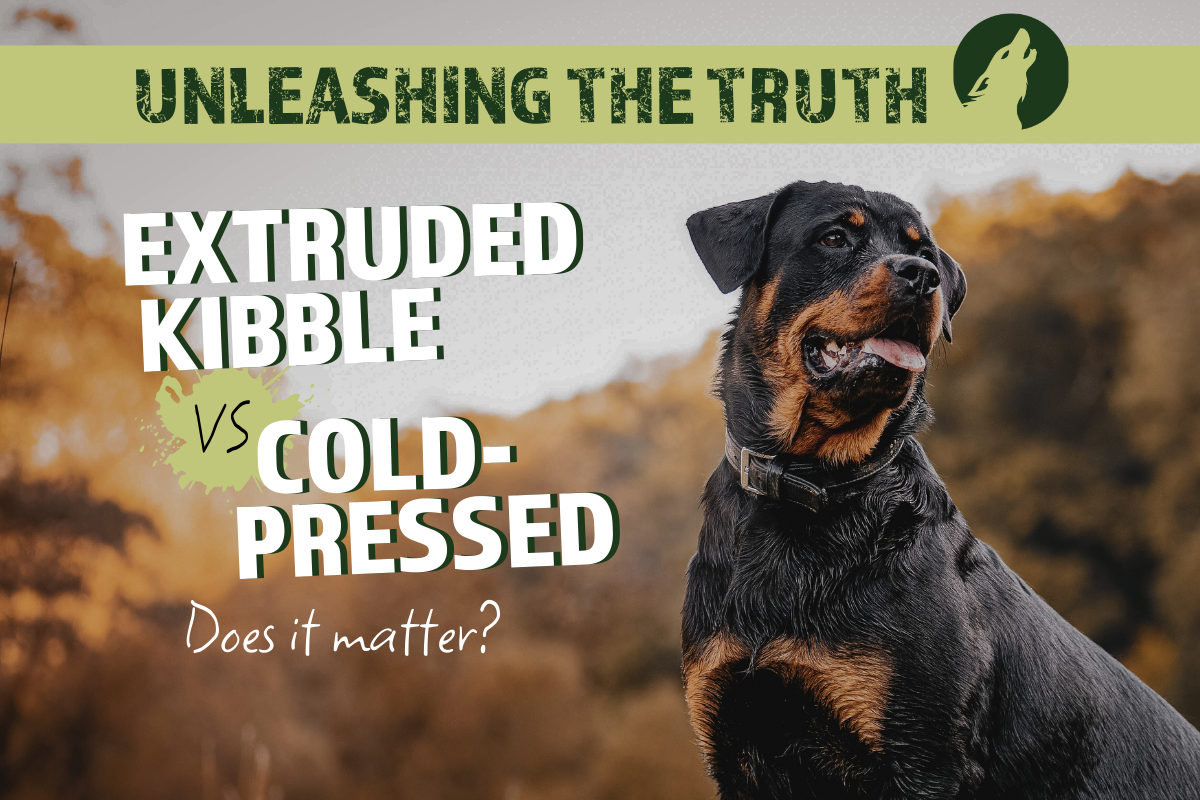 Extruded Kibble vs. Cold-Pressed: What's the Difference & Why It Matters