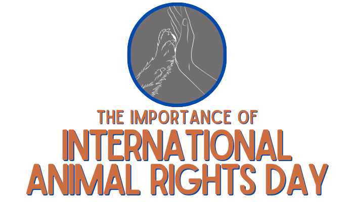 The Importance of International Animal Rights Day