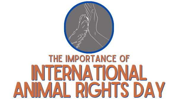 The Importance of International Animal Rights Day