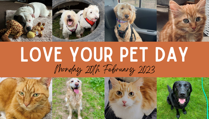 Love Your Pet Day 2023