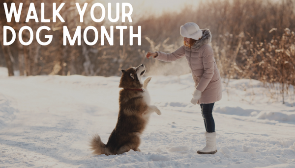 January is Walk Your Dog Month!