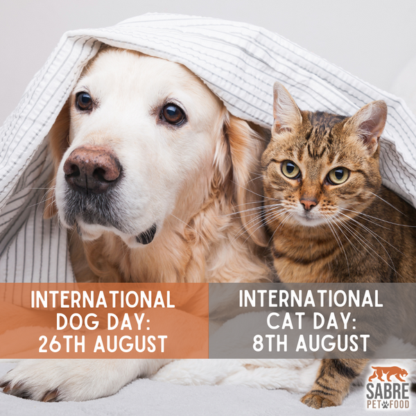 International dog outlet day 2020