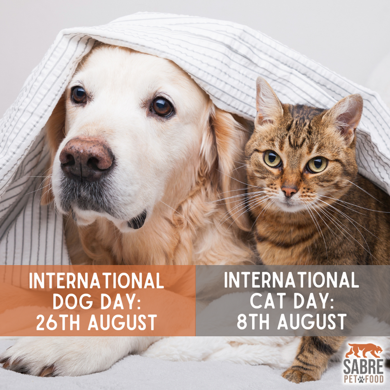 International Dog & Cat Day