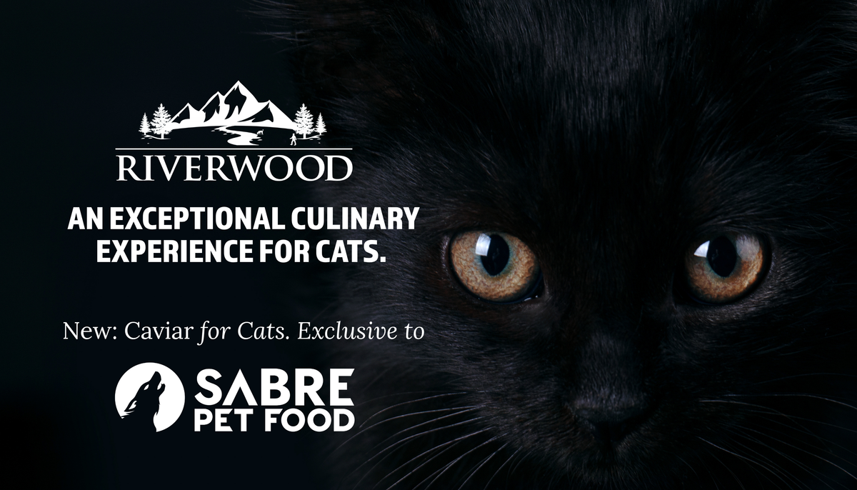 New Arrival Riverwood: Caviar for Cats