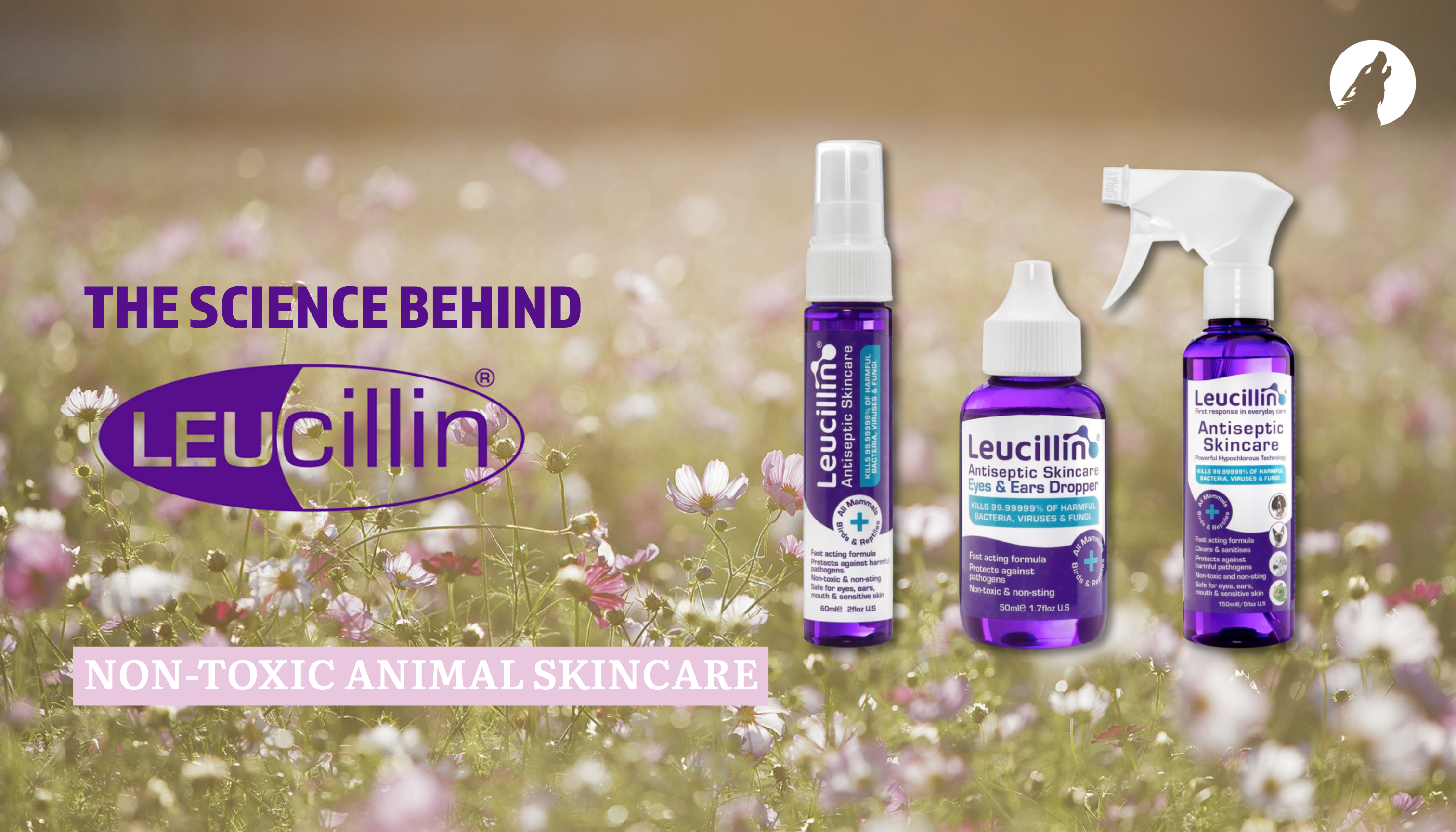 Itchy Skin in Dogs? How Leucillin Can Help Soothe Irritated Skin