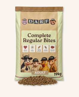Complete Dry Dog Food - Regular (19kg)