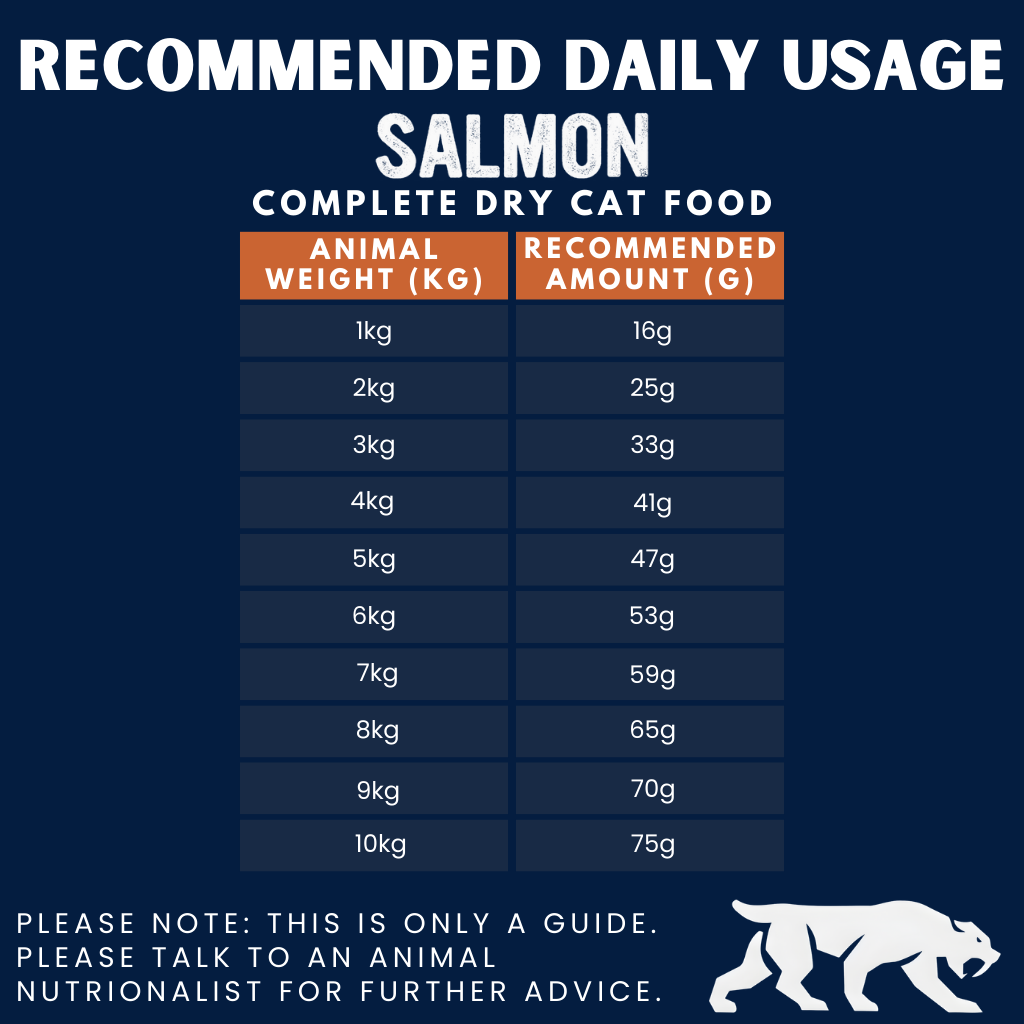 Iberian Salmon Complete Dry Cat Food for Sterilised Cats (1kg)