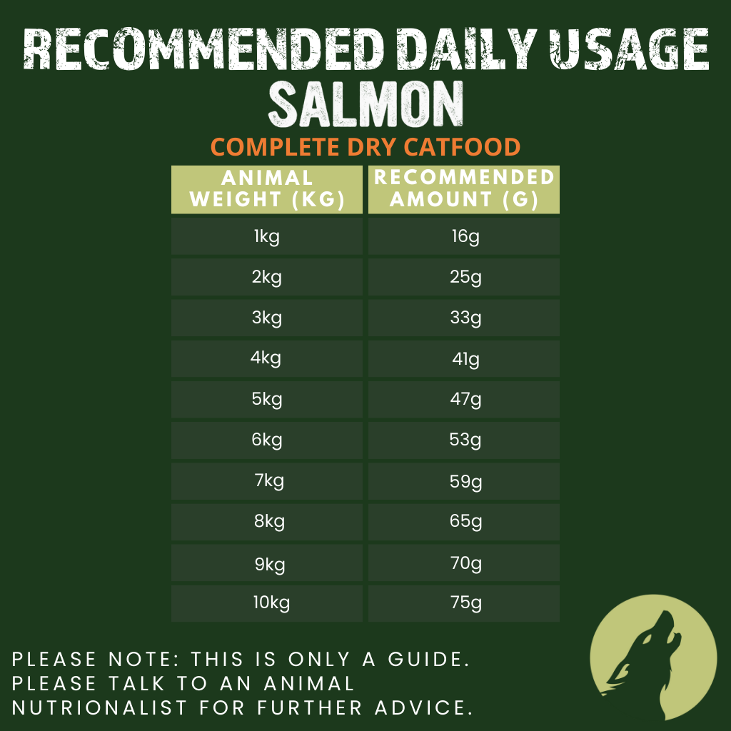 Iberian Salmon Complete Dry Cat Food for Sterilised Cats (1kg)