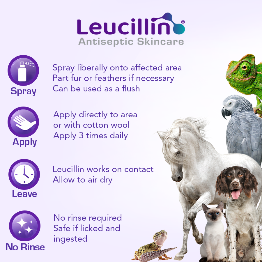 Leucillin Natural Antiseptic Skincare Spray For Pets (250ml)