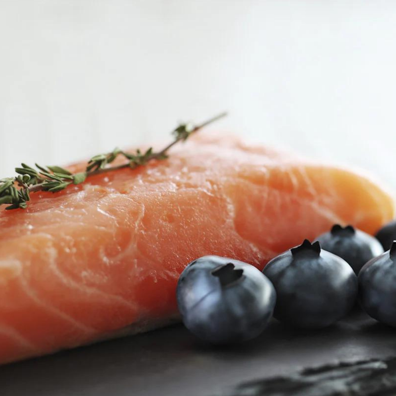 Salmon with Blueberries Complete Dog Food (3.6kg)