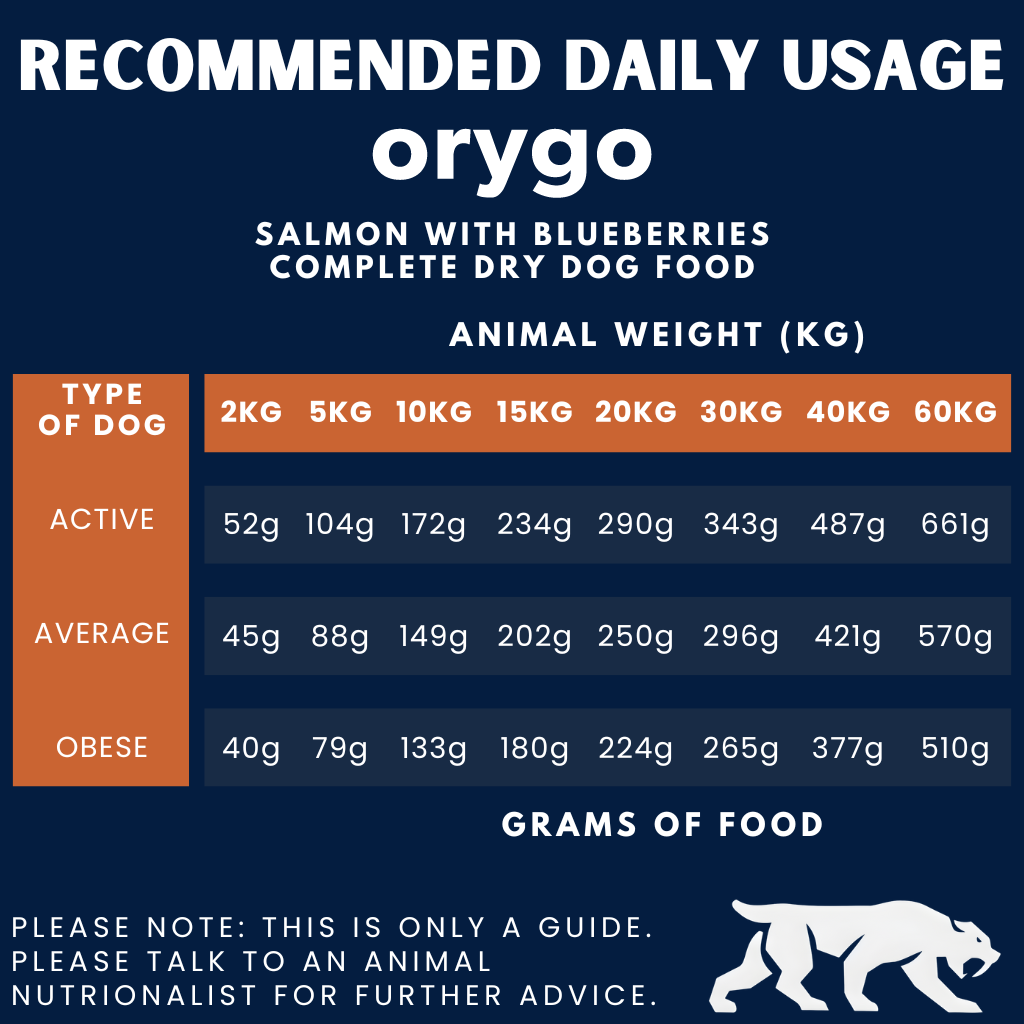 Salmon with Blueberries Complete Dog Food (8kg)