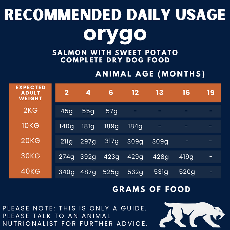 Salmon with Sweet Potato Complete Dog Food For Puppies (3.6kg)