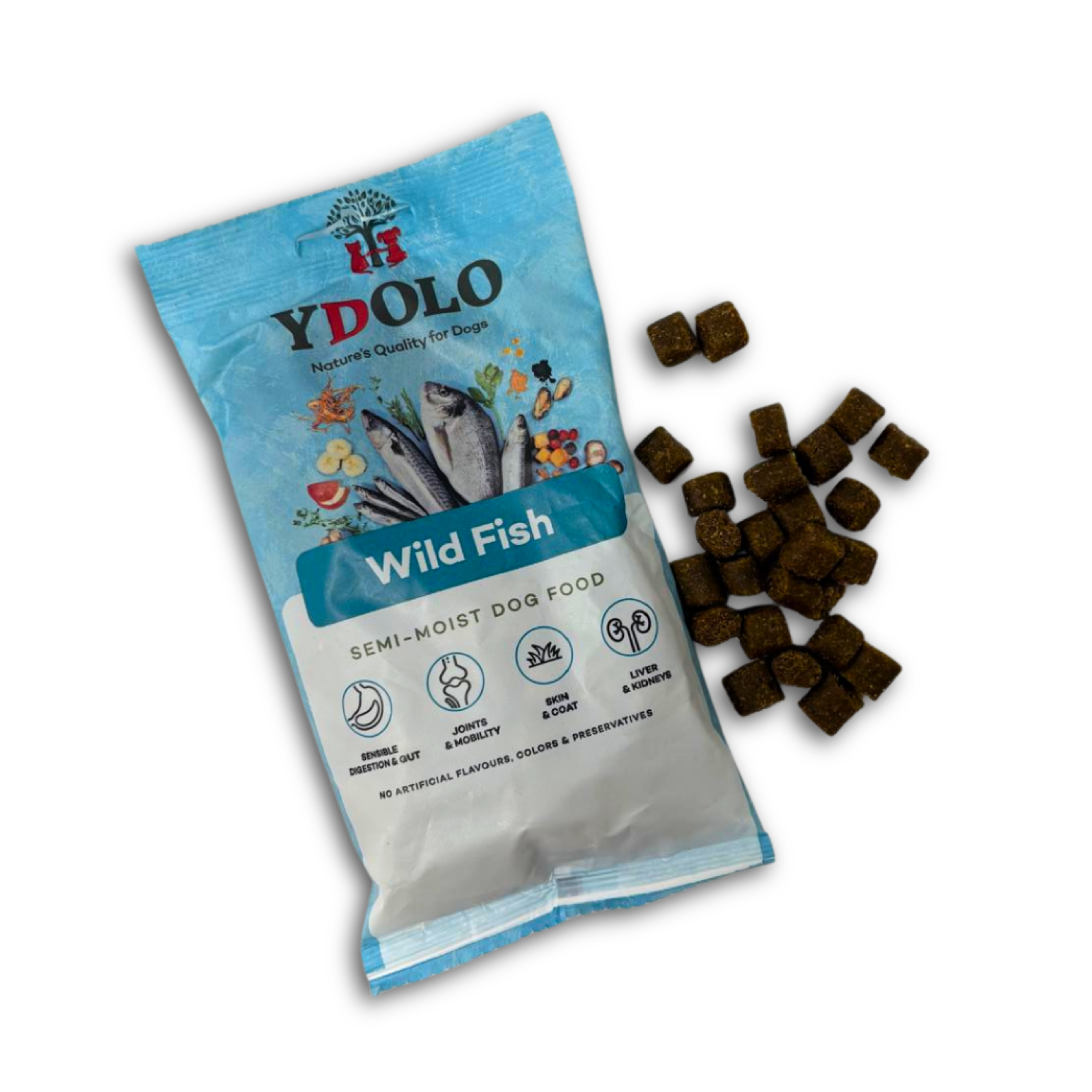 Wild Fish Complete Cold-Pressed Dog Food Sample Pack - 100g