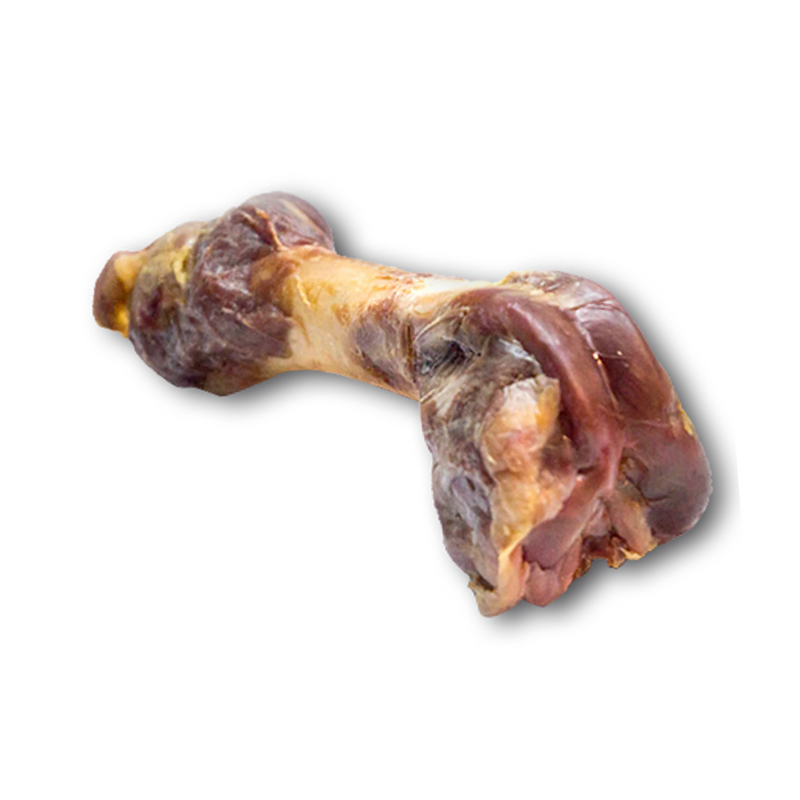 Is a ham bone safe for dogs best sale