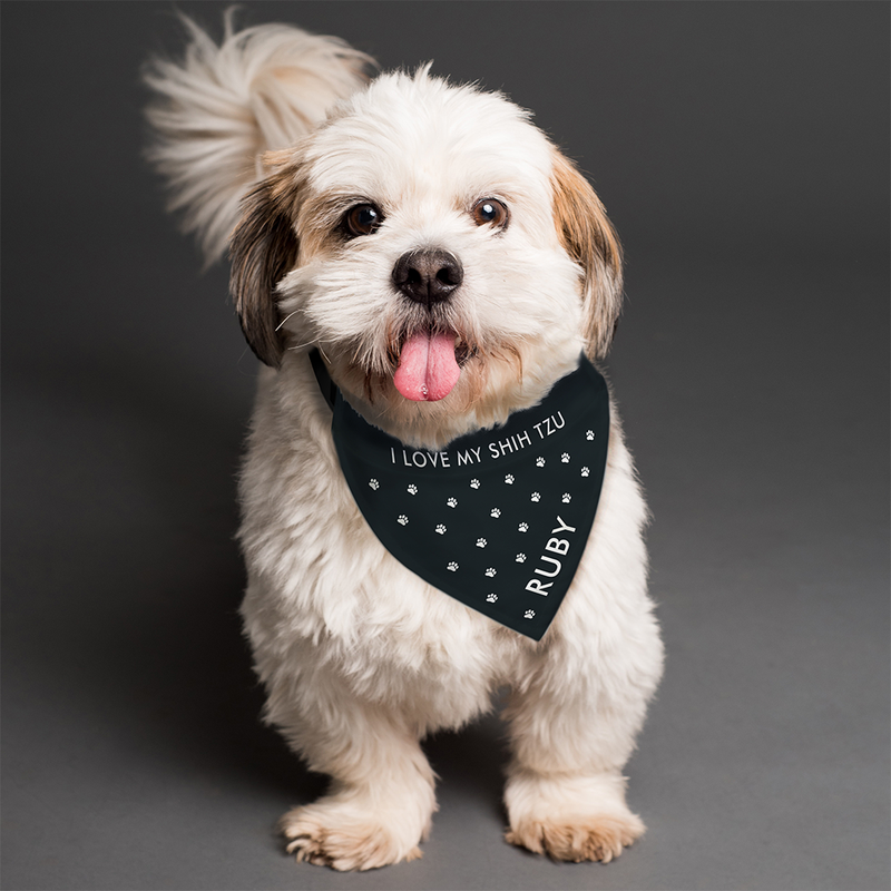 Dog bandanas personalized shop uk